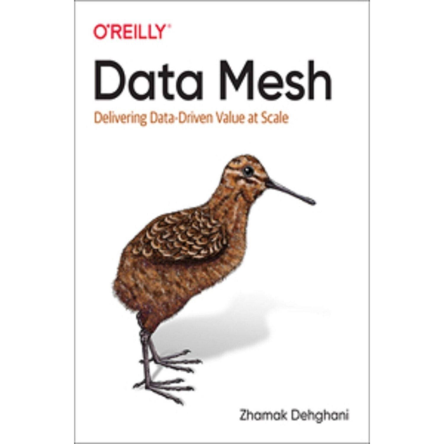 oreilly Data Mesh paperback i165 IN-R7