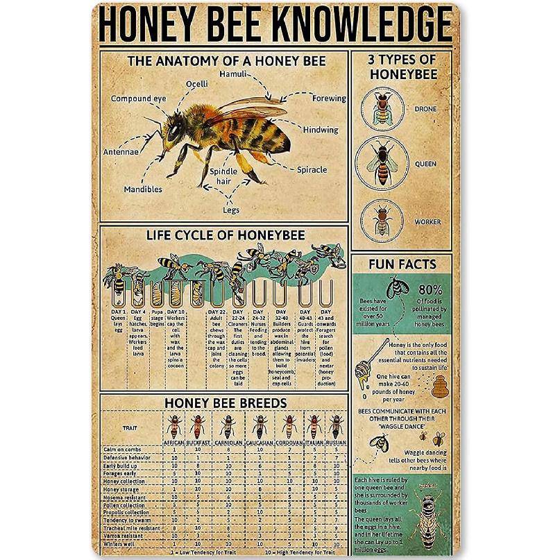 

Honey Bee Knowledge Metal Tin Sign Information About Bees Planing Diagram Poster Plaque for School Education Bar Cafe Club Home Kitchen Wall