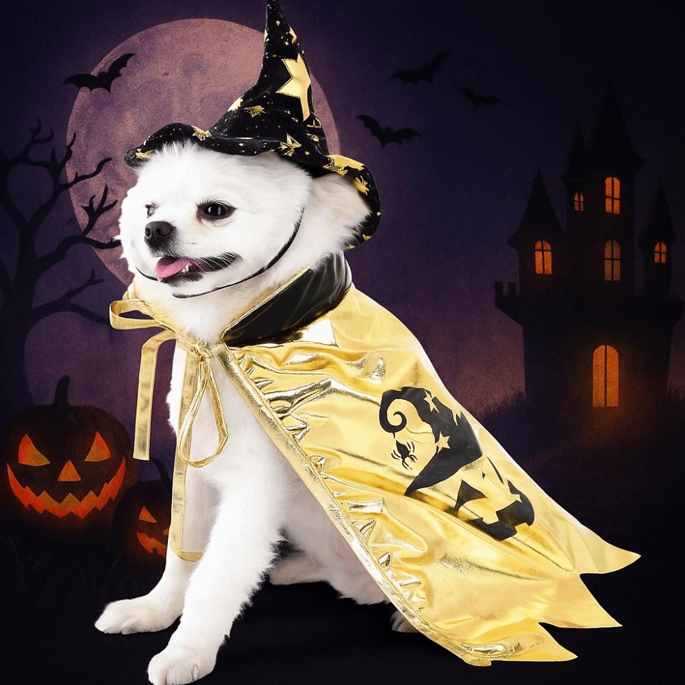 With Witch Hat Halloween Pet Costume Star Kitten Dress Cool Cat Cosplay Cloak  Festival