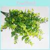 Eucalyptus Smith Robusta Foliage For Wedding Decor Setting Photography