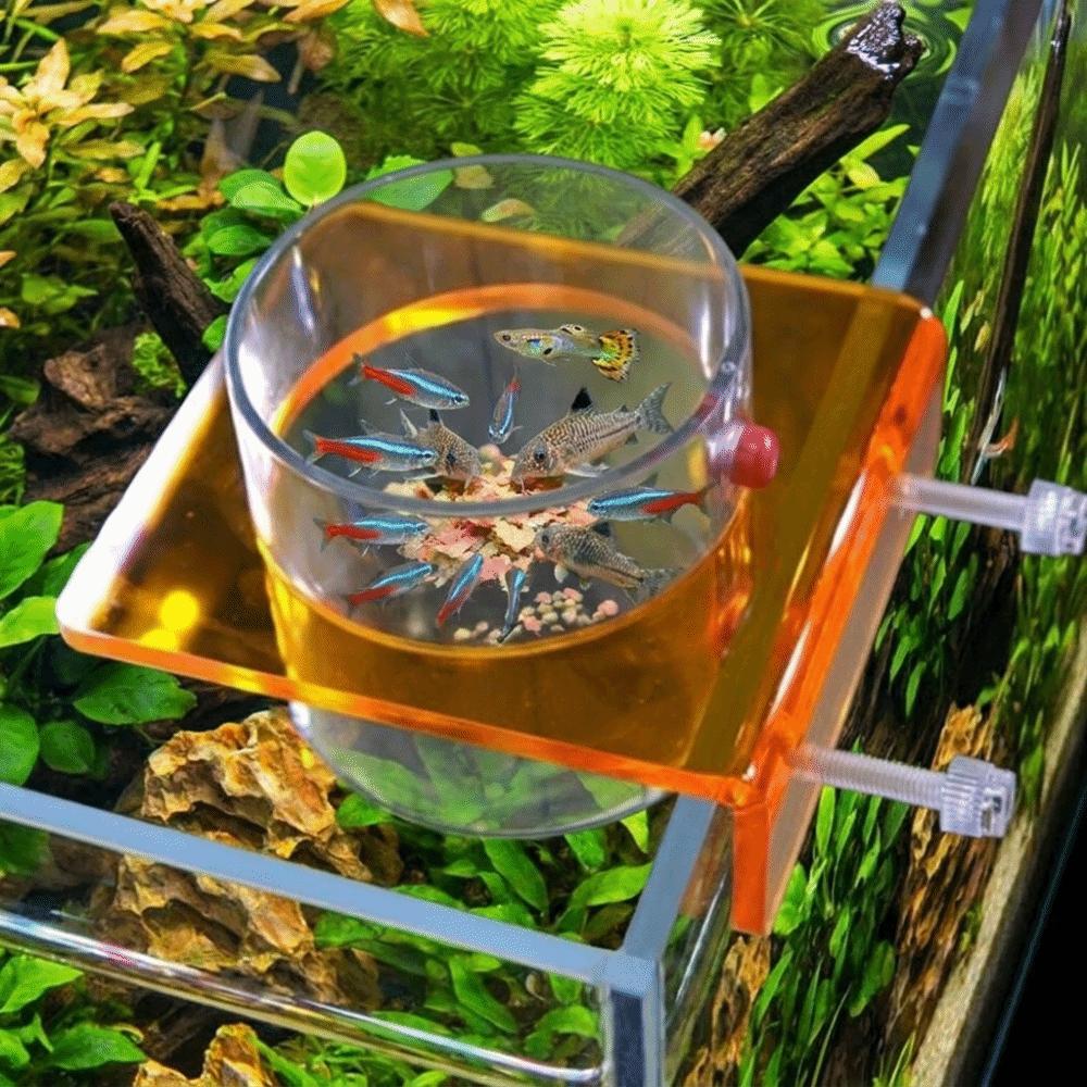 Transparent Fish Tank Feeder Plastic Fish Feeding Basin Aquarium Feeding Bowl  Food Dispensing