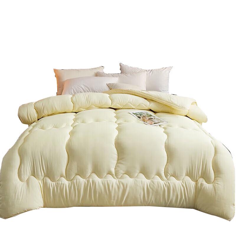 

Nanjiren Brushed Warm Winter Quilt