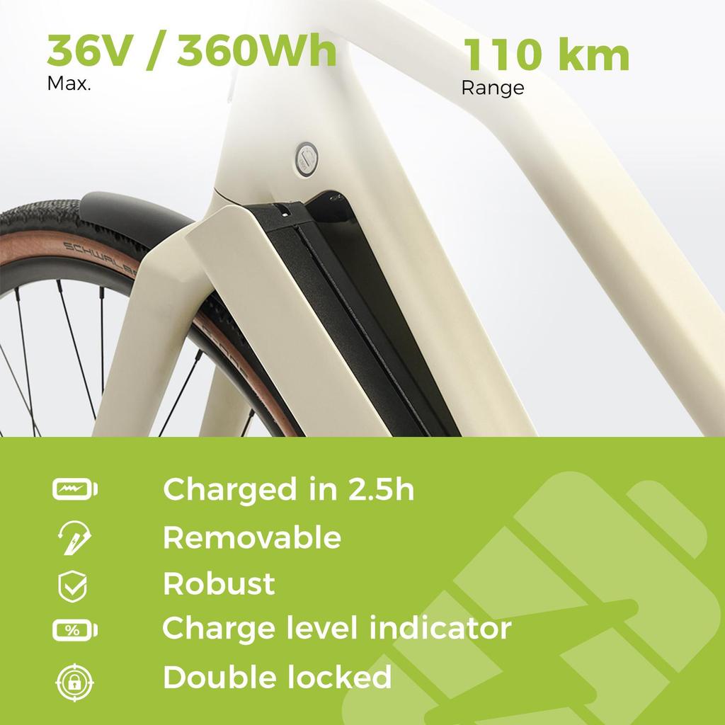 Electric Bicycle DERUIZ Turmali-Premium s 28"250W Motor City EBike ,58cm Frame, 360Wh Battery,Max  Range 110km Load 130kg