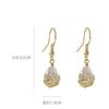 Women Temperament Drop Crystal Earrings Simple Wild Micro-set Hook Dangle Earrings