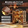 CRESYMME Miniature House Dollhouse Book Nook Kit, Wooden DIY 3D Hobby Handmade (Fossil Museum)