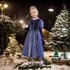 Velvet Long Sleeve Snow Fairy Dress, Autumn Winter Soft Fabric Girls Casual Party Gown