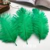 Ostrich Hair Colored Feathers 20-25Cm Wedding Table Lamp Decoration Stage Diy Material Clothing Accessories