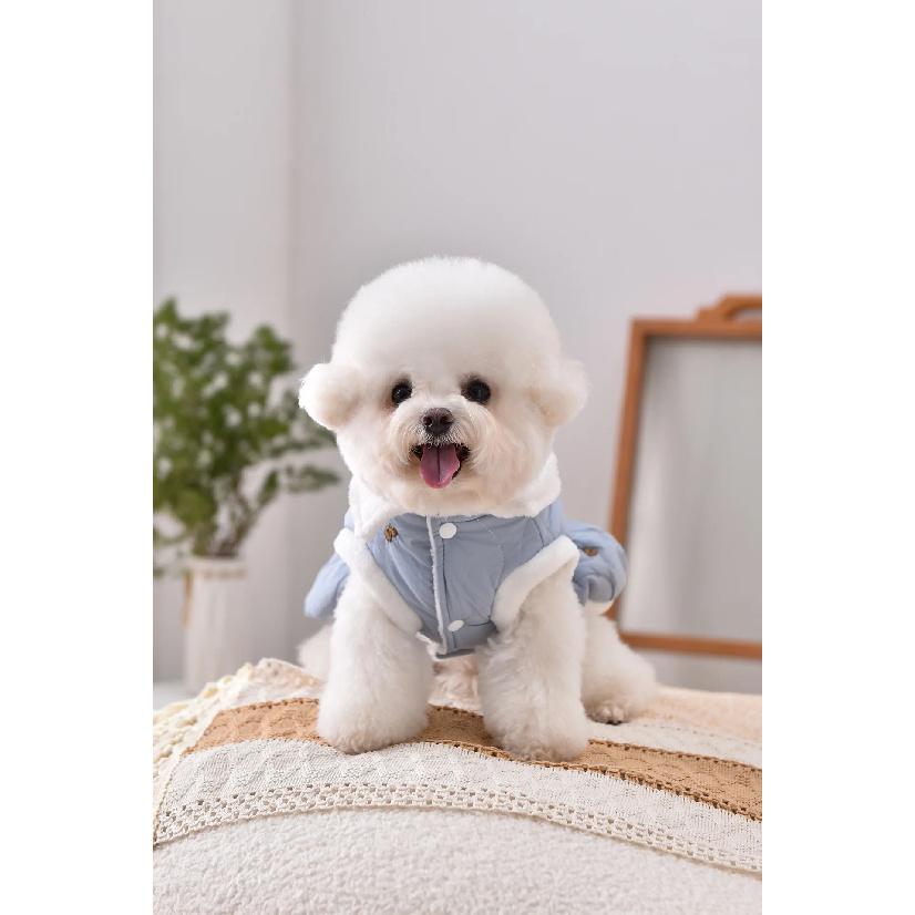 Fur Collar Luxury Designer Dog Clothes Toy Poodle Small Puppy Breed Dress Autumn Winter Warm Pet Sleeveless Sausage Cat Clothing