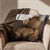 Movie Cute Ted Bear Pillow Case Antidustmite Pillowcase Invisible zipper silky short plush Sofa cushion cover