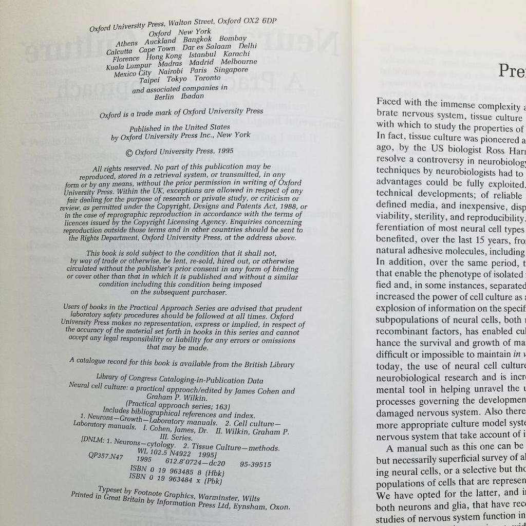 [USED] Neural Cell Culture