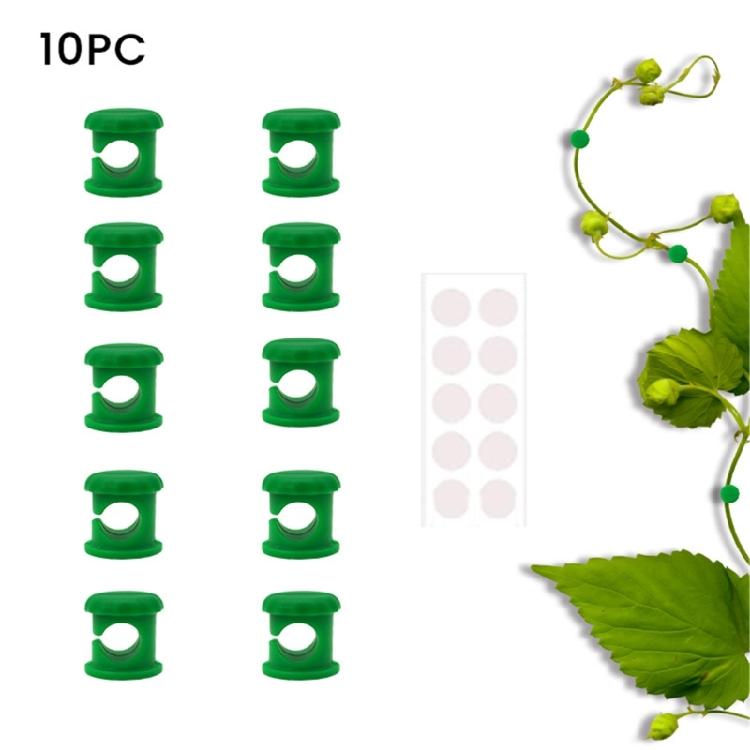 Vining Plant Training Clips For Indoor Walls Durability Plastic Garden Clips For Tomato Plant Hassle Less Installation