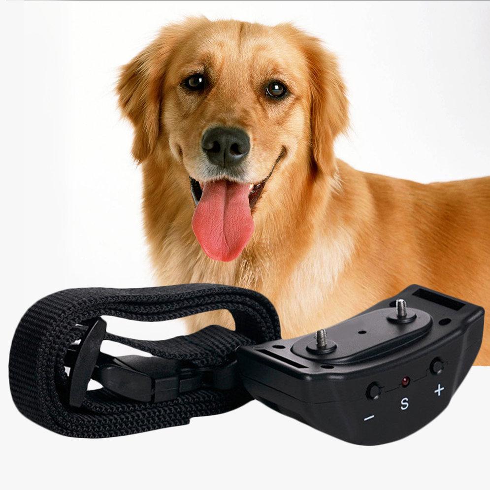 plastic dog training collar