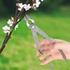 Garden Tree Branch Cutting Forged Steel Round Head Scissors Bonsai Tools Garden Tree Cutting Bonsai Shaping Tools
