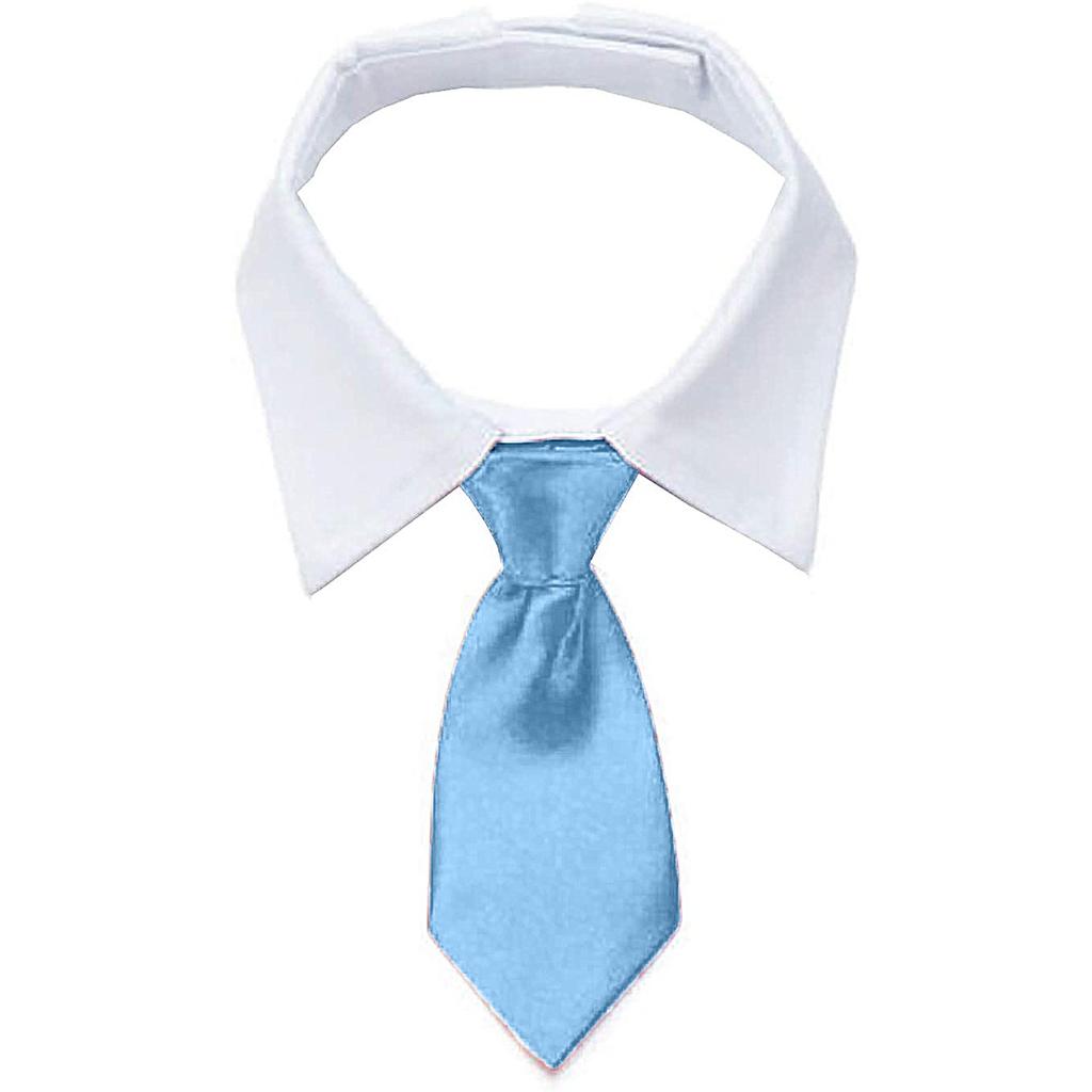 Domácí pes a kravata Pet kravata se límcem obleku