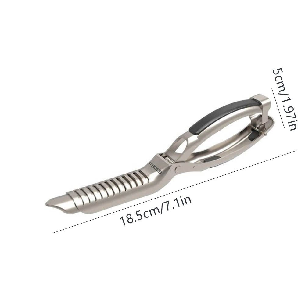 Easy Membrane Removal BBQ Rib Preparation Tool Stainless Steel Rib Skinner  Butcher Tool