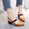 2024 Women's Closed-Toe Pointed Summer Sandals with Single Strap & Chunky High Heels