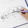 Pentel Brush Light Black XFL3L Pen, Ink,