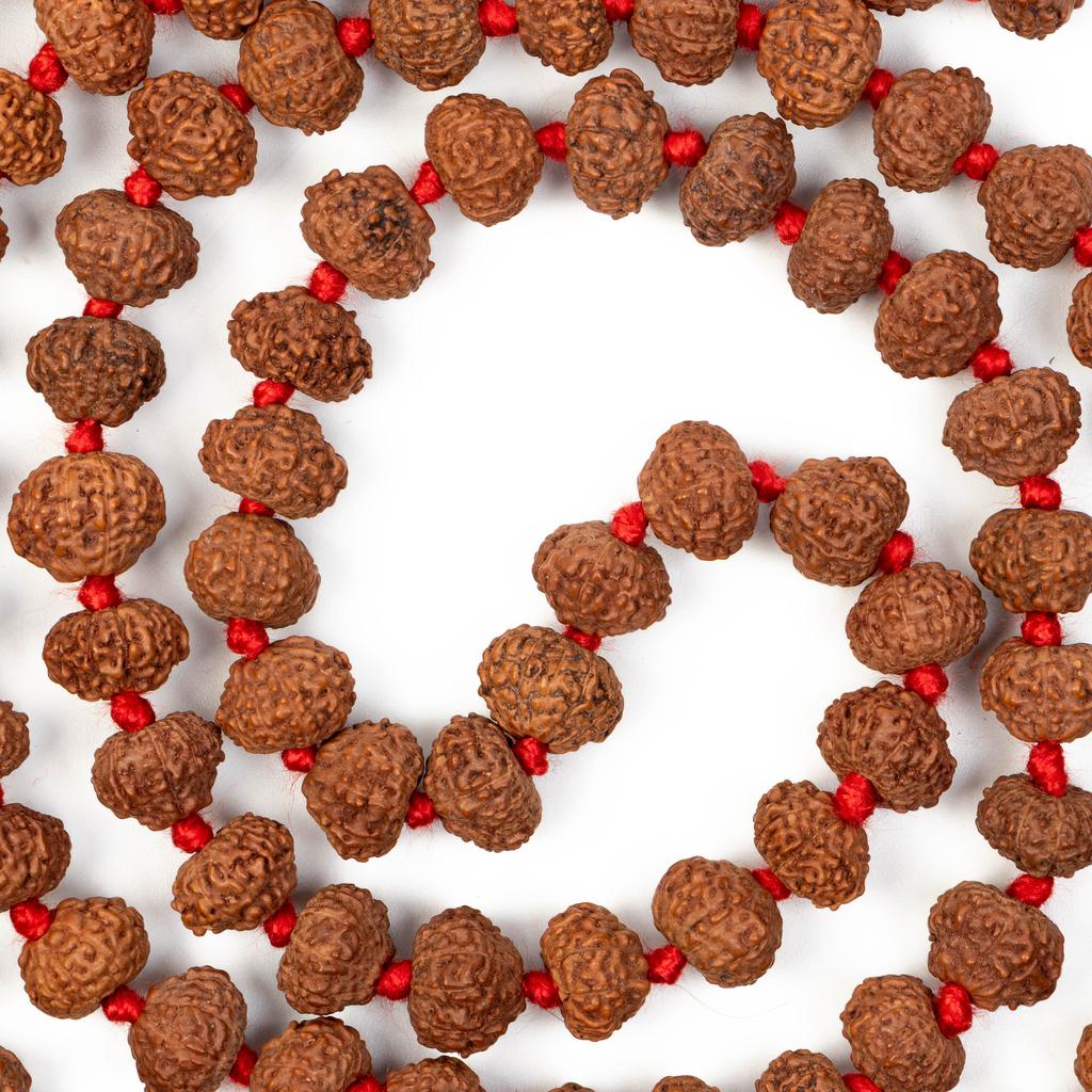 10 Mukhi Indonesian Rudraksha Mala 108+1 Beads |Spiritual Healing Necklace| Meditation Yoga Mala |Authentic Rudraksha Mala for Men & Women