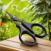 1PC Titanium Coating Stainless Steel Fishing Scissor Plier Cut PE Braid Line Cutter Plies Carp Fishing Accessories ToolsHot Sale
