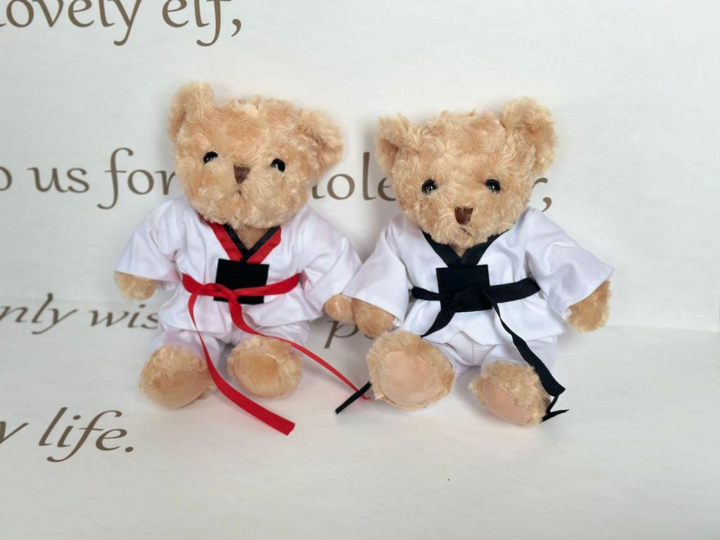 Teddy Bear Sweatshirt: Plush Doll Clothing Accessory