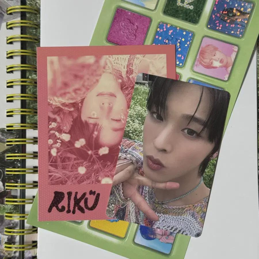 

Ncitywish Цветной фотоальбом Рику Полный комплект