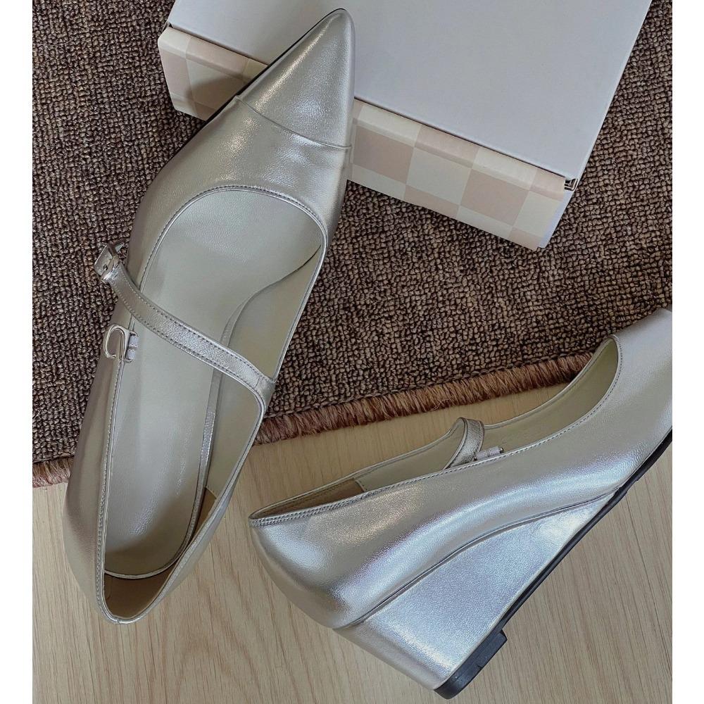 Strap Single Shoe Women's Leather Pointed Toe Wedge Heel Thick Heel Mary Jane Pumps for Womens 2025 Spring and Summer High Heels
