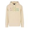 Armani Exchange Mens Summer Beats Gradient Logo Hoodie