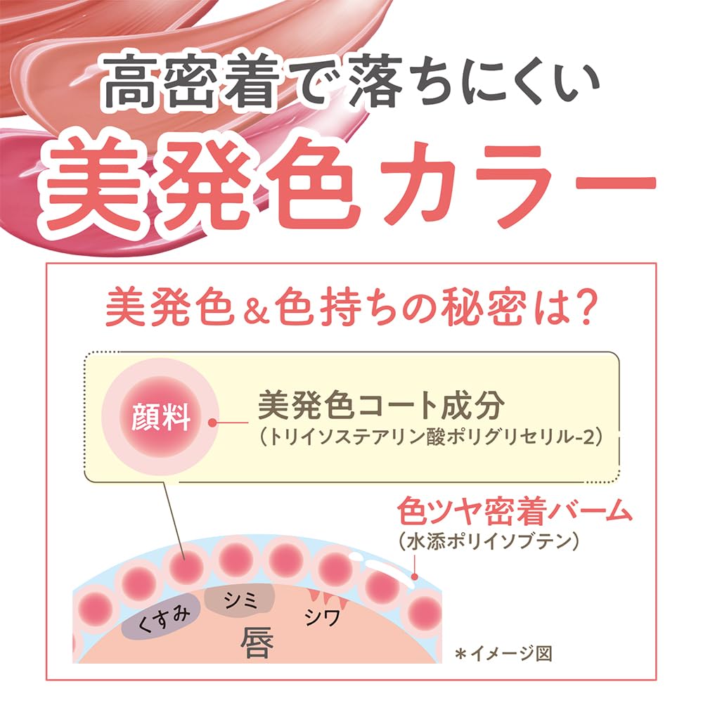 CEZANNE Lasting Stay Lip Color 4g [All 3 Colors] - Long-Lasting, Vibrant Hydrating Lipstick for Flawless Lips