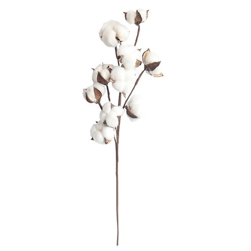 New Naturally Dried Cotton Stems Artificial Flower Filler Floral Decor Artificial Flowers Valentines Day