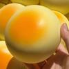 1/2/3Pcs Simulation Butter Bread Squeeze Slow Rising Stress Toy Soft Relief Bread Sensory Toy Decompression Realistic