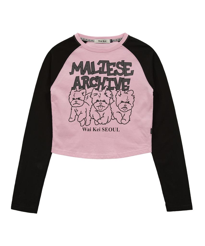 WAIKEI Maltese Archive Line Graphic Raglan Long Sleeve T-Shirt Pink