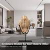 Decor Sculptural Fossil Style Desk Ornament for Art Collectors