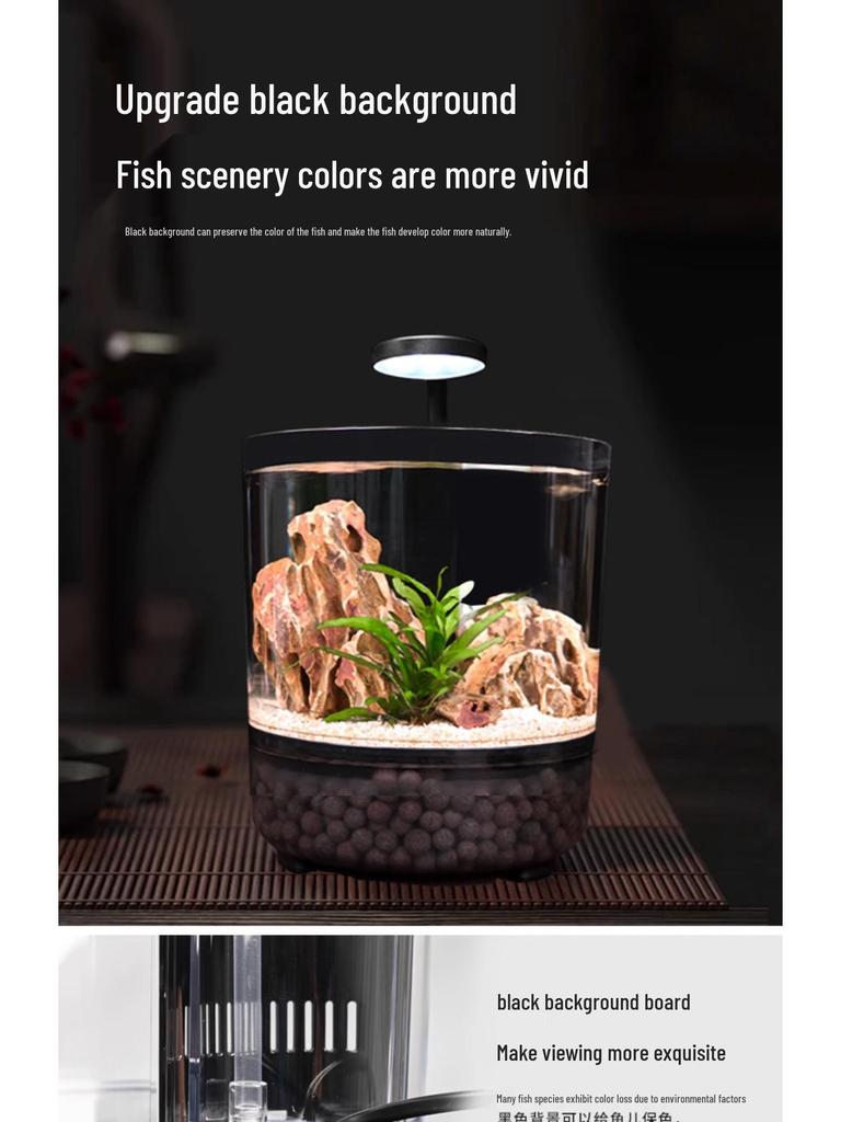Compact Ecological Fish Tank with Filter & Oxygenation for Betta - Desktop Mini Aquarium