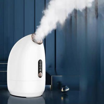 Vaporizador facial com spray duplo frio e quente Nano Pulverizador de recarga de água para uso doméstico Motor a vapor Salões de beleza Vaporizador facial especial Equipamento de beleza