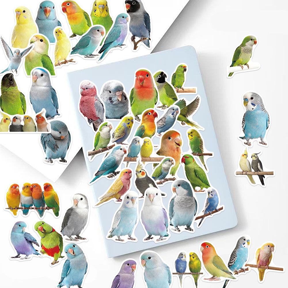 50Pcs/Set Parrot Series 03 Waterproof Stickers DIY Fashion Doodle Decals Stickers