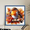 Robin Full 11CT DIY Stamped Needlework Embroidery Kit 40x40cm Printed Cross-Stitch Kits for Beginners Adults Home Decor