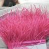 Struisvogelveer Franje - Diverse Kleuren, 10-15cm, 1 Meter voor Kledingaccessoires