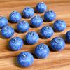 8 Stück Blaubeer-Form Niedliche Ornamente Frucht-Anhänger Schmuckherstellung DIY Halsketten Armbänder Ohrringe Schlüsselanhänger Zubehör