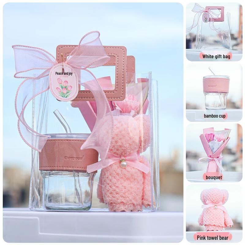 Portable Single-Layer Glass Cup Gift Set