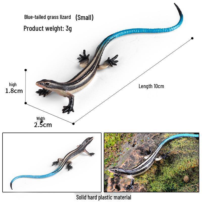 Blue-tailed Grass Lizard Toy Model - Children s Cognitive & Decorative Wild Animal Figure