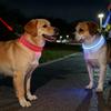 -lost LED Glowing Dog Collar Pet Supplies For Nighttime Dog Walking, Collar With USB Charging And Built-in Reflective Material