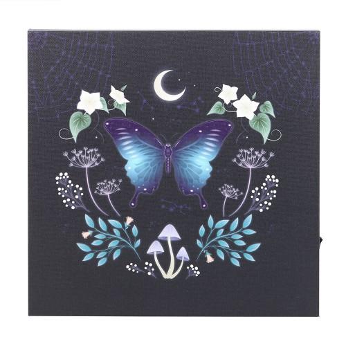 Something Different Midnight Moth Light Up Canvas