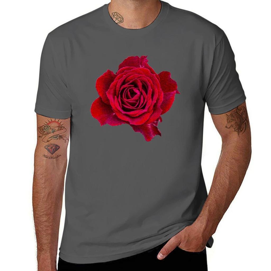 Red Rose Tshirt Basic Regular Fit Casual Tshirt