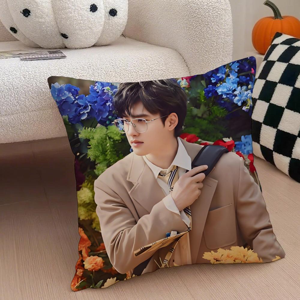 South Korea EXOK Idol DDoh Kyungsoo DO Cushion Cover Throw Pillow Cover Hidden Button Durable Polyester Chair Cushion