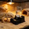 Automatic Reptile Water Dish Reusable Container Creative Feeder Station Ornament Drinking Tool for Snakes Tortoise Geckos