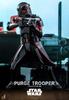 Hot Toys TV Masterpiece Kenobi Purge Troopers Scale Figure Black Height 30cm TMS081 Obi-Wan 1/6 Approx.