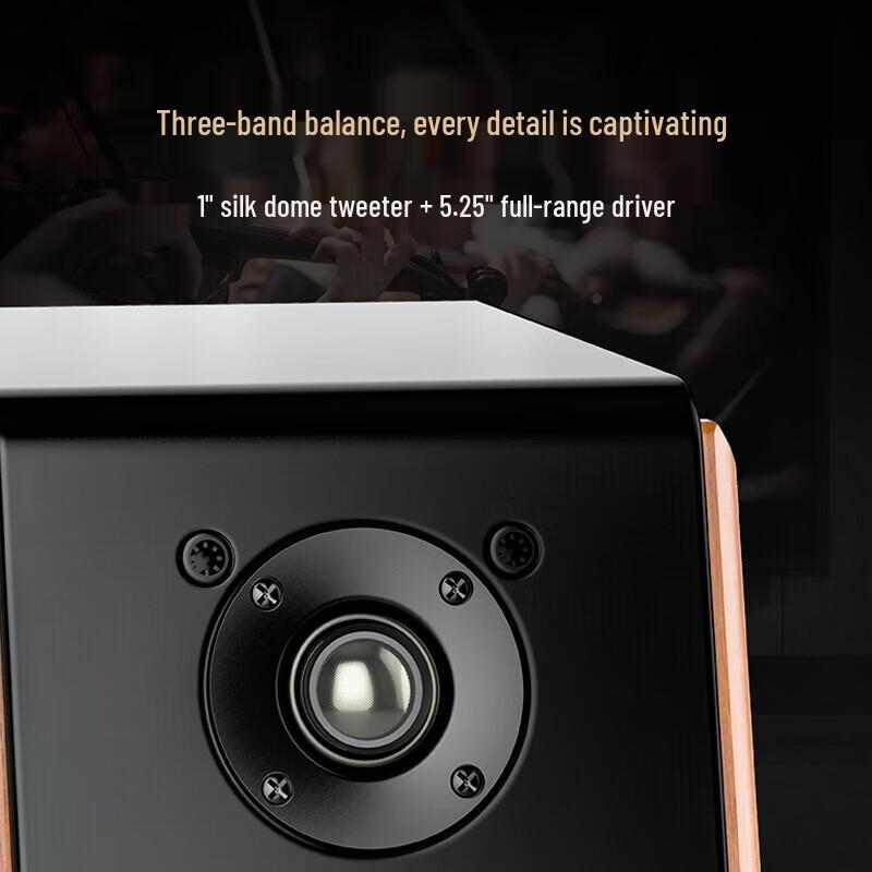 F&D R60BT Pro HiFi 2.0 Bluetooth Desktop Speakers CN Plug (adapter Included)