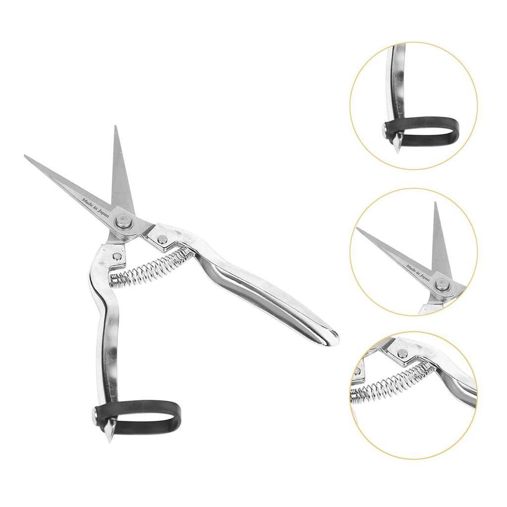 Pruning Shear Professional Heavy Duty Plant Cutting Scissors Sharp Gardening Scissors for Garden Farm Yard Orchard Flowers