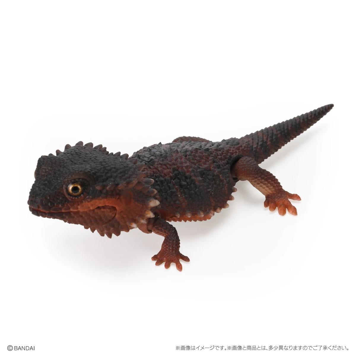 

Genuine Popularity Gacha Biological Encyclopedia Japanese Gecko Bearded Lizard Action Figure Model Toys Poseable Articulated Scale Detailed Movable