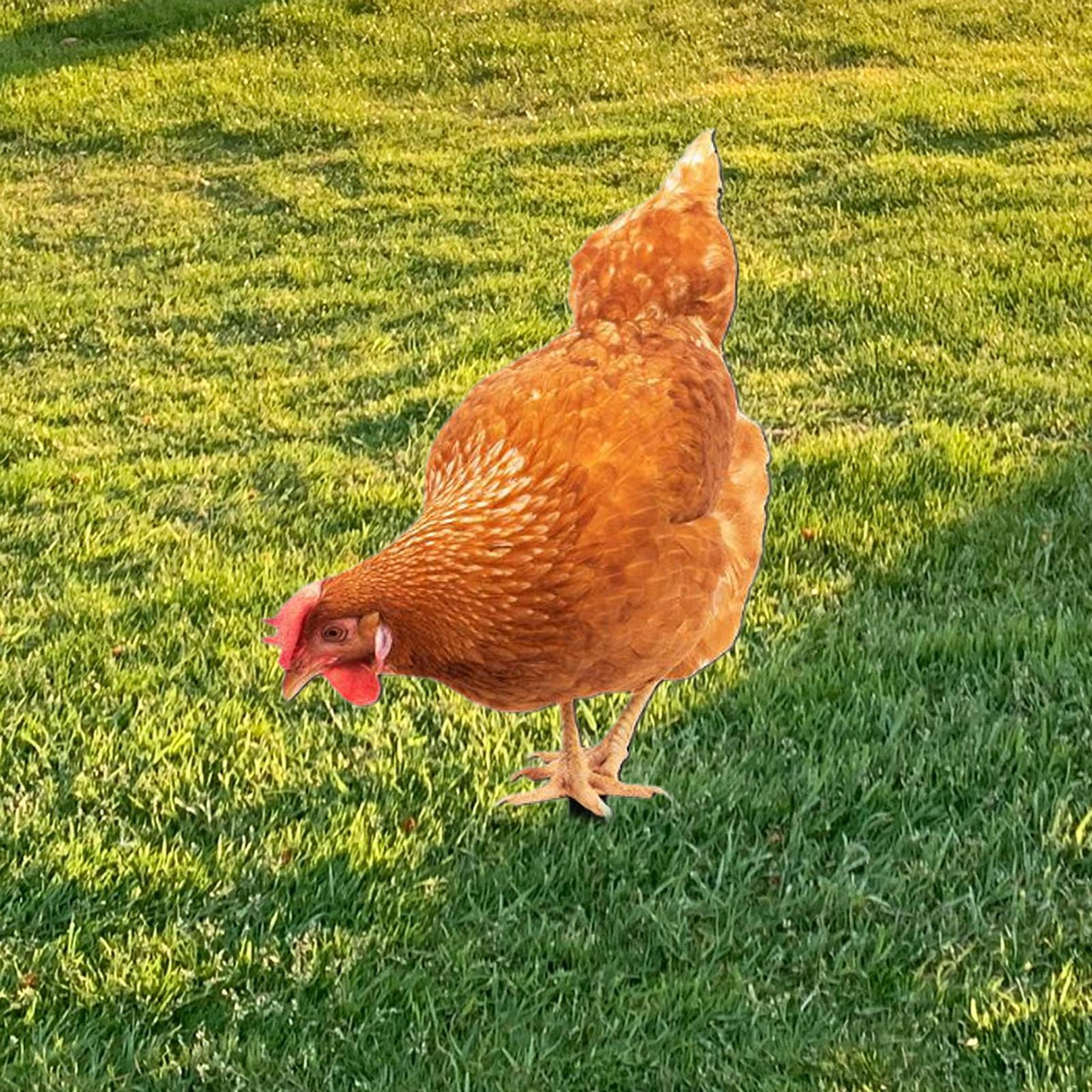 

Акриловая статуя цыпленка, колышек, животное, двор, искусство, животные для патио, пруда, газона 27cmx16.3cm